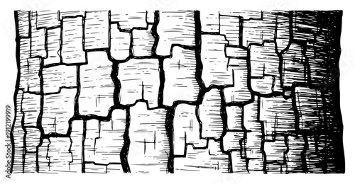 Hand drawn vintage woodcut engraving of a detailed tree bark texture with deep cracks