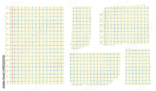 Vintage school notebook paper scraps collection.