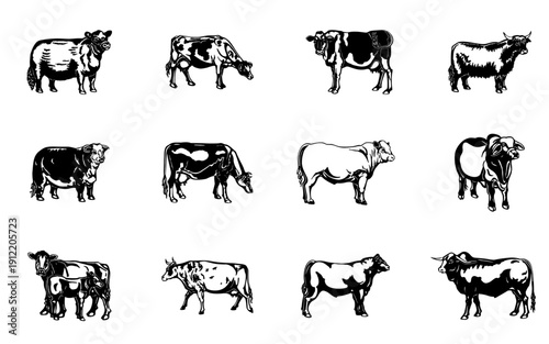 Cow icon collection. Includes various cow breeds and poses. Created in black vector style.