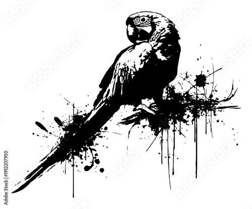 Beautiful parrot macaw bird sitting on a branch in grunge ink style