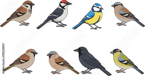 Cuadro en lienzo Flat Vector Set of Cute Garden Birds Including Sparrow Crow Parrot and Colorful