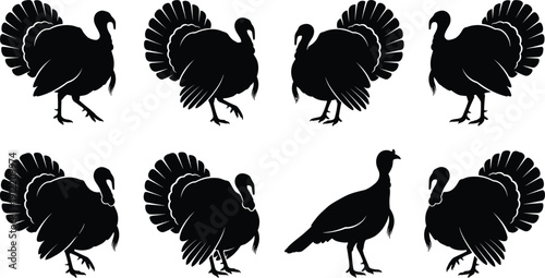 Black turkey silhouette set with wild gobbler tom and hen poultry icons for Thanksgiving holiday autumn harvest and farm bird design isolated on white