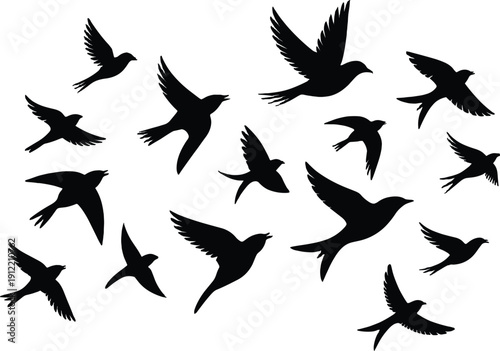 Flying bird silhouette collection with various wing positions, black solid vector illustration of small birds in flight isolated on light background