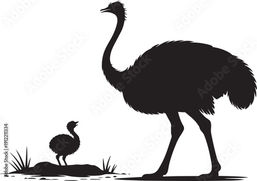 Ostrich parent and chick silhouette standing on ground vector on transparent background