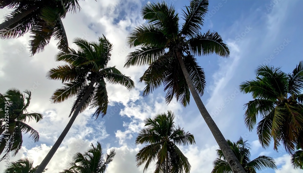 Fototapeta premium Low-angle shot capturing the tall trunks and vibrant green fronds of palm trees against a partly cloudy, bright blue sky