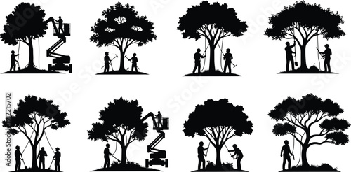 Black silhouettes of professional arborists trimming trees with aerial lifts and hand tools for forestry maintenance landscaping services for design.