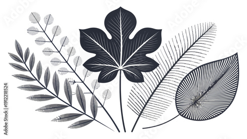Elegant black and white illustration of tropical leaves and branches
