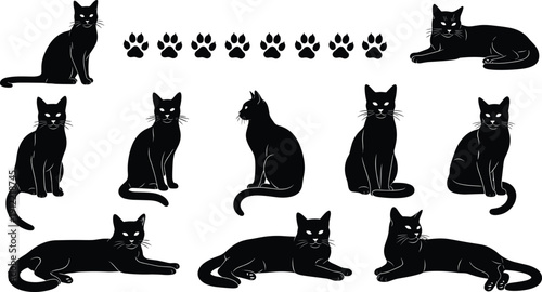 Black cats silhouettes sitting and lying positions with paw prints, animal vector illustration for design, decoration, learning, and creative projects