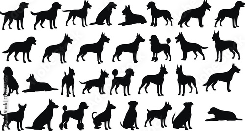 Collection of 30 black dog silhouettes in diverse breeds and postures, standing, sitting and lying poses, domestic animal vector illustration for pet, wildlife and decorative design projects