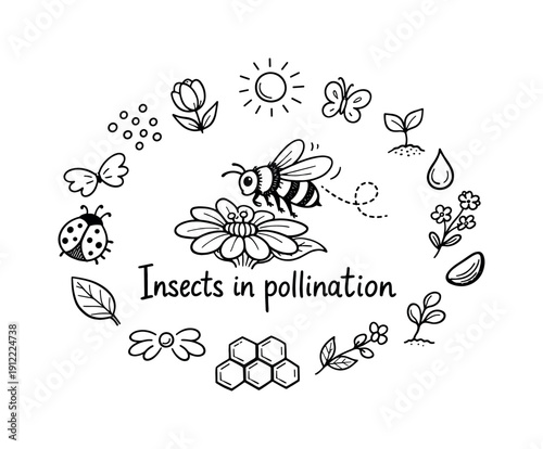 Insects in pollination. Hand-drawn doodle illustration of Insects in pollination. In the middle, one slightly larger