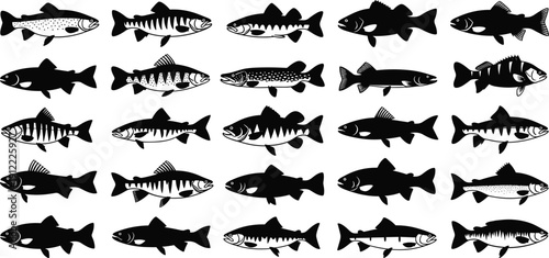 Creative stylized fish vector illustration grid, diverse aquatic wildlife artwork, black and white patterns, geometric motifs, decorative design variations