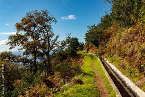 Hiking trail following the Levada Nova water channel between Prazeres and Fãja da Ovelha, Madeira, Portugal