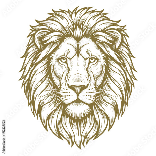 A detailed golden line drawing of a lion's head with a majestic mane and intense gaze, rendered in a classic illustrative style with bold lines and shading, isolated on white background