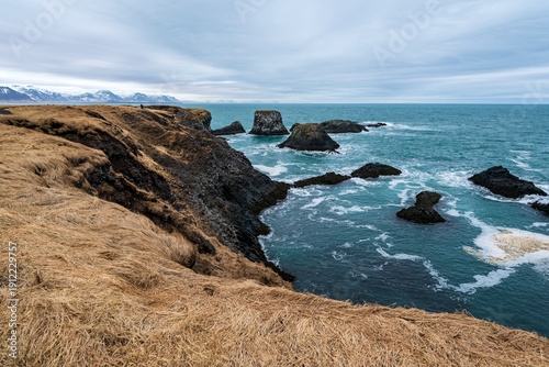 Scenic view of the ocean and the beautiful black basalt cliffs at Arnarstapi in late winter, Snæfellsnes peninsula, Iceland