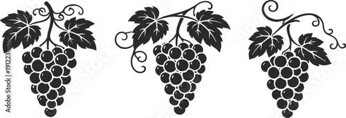  collection of elegant black and white  vector icons for fruits, vineyards, trees, and organic farming concepts featuring various grape bunches, leaves, and wine.