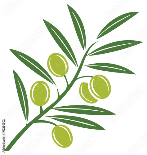 Fresh green olive branch illustration with ripe olives and vibrant leaves a symbol of healthy Mediterranean cuisine and nature