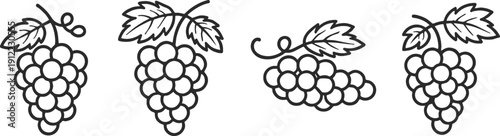 collection of elegant black and white  vector icons for fruits, vineyards, trees, and organic farming concepts featuring various grape bunches, leaves, and wine.