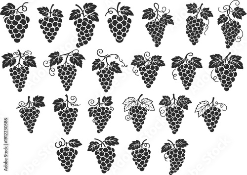  collection of elegant black and white  vector icons for fruits, vineyards, trees, and organic farming concepts featuring various grape bunches, leaves, and wine.