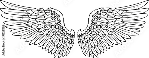 Detailed black and white vector illustration of symmetrical wings, layered feather design symbolizing freedom, spirituality and artistic flight inspiration