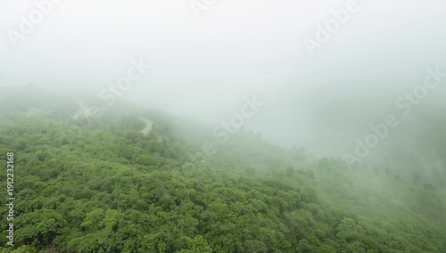 Dense Fog Covers Green Hills and Winding Roads During Early Morning Hours in ...