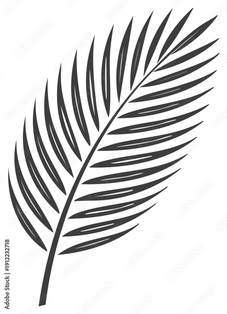 Fototapeta premium Stylized Vector Illustration of a Single Palm Frond with Minimalist Lines