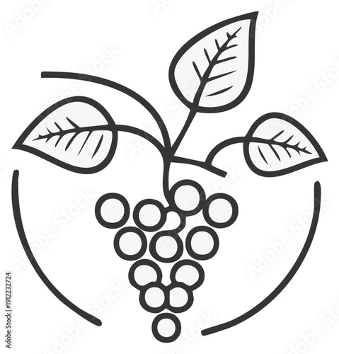 Grape cluster with leaves in circular frame icon illustration for wine, juice, vineyard logo
