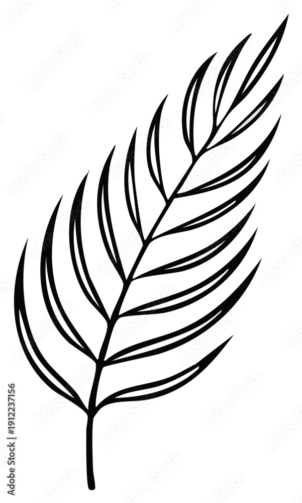 Fototapeta premium Elegant Outline Drawing of a Single Palm Frond in a Minimalist Style