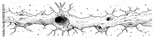 Detailed hand drawn sketch of a dry ground texture with deep cracks and holes