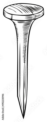 Illustration of a metal nail, with woodcut style, showing detail and precise linework.
