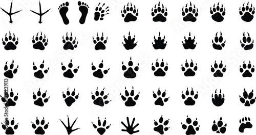 Black silhouette vector illustration of diverse animal and human footprints arranged in grid pattern, paw prints, bird tracks, amphibian marks