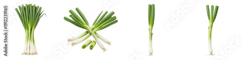 Fresh Organic Scallions Collection, Whole and Chopped Green Onion Sprigs Set, Healthy Aromatic Culinary Herb Isolated on White Background PNG