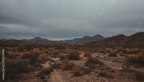 Landscape View With Mountains and Shrubs During Cloudy Weather in a Desert Area