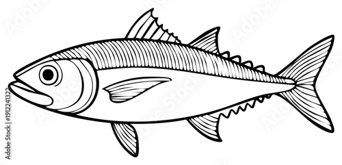 Detailed Outline Illustration of a Tuna Fish Silhouette Swimming