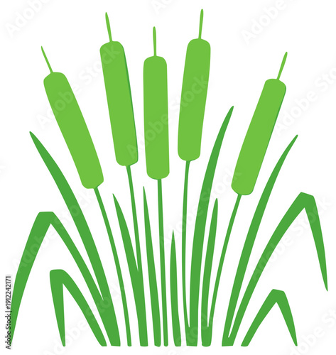 Green Cattails and Reeds Illustration