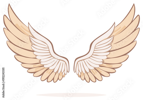 Open wings illustration in light beige and white shades, featuring detailed feathers and delicate shading against white backdrop.