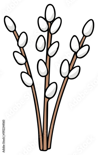 Delicate Pussy Willow Branches with Fluffy White Buds Illustration