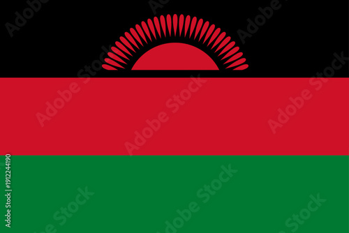 Free Download Malawi flag icon vector illustration  - GFXLoad