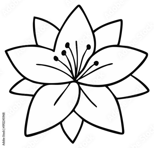 Simple hand drawn outline of a blooming flower with pointed petals and stamens in the center
