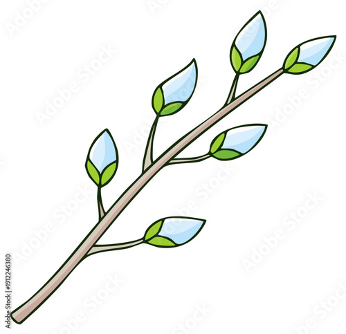 Cartoon pussy willow branch with buds opening for spring celebration
