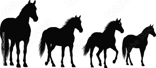 Modern home office workspace featuring high-end laptop computer, green potted plant, and coffee on clean white desk for business productivity and remote work lifestyle.