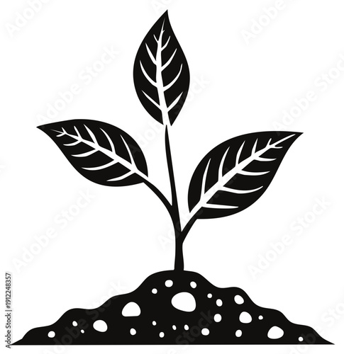 Young Plant Sprouting from Soil, Symbol of Growth and New Beginnings