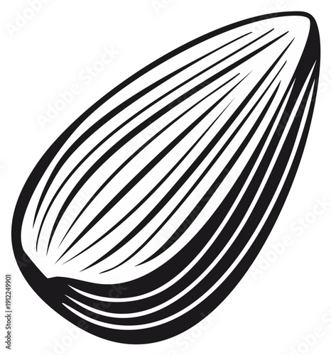 Black and White Sunflower Seed Illustration