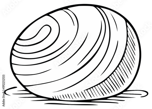 Detailed black and white clam shell illustration featuring natural concentric rings and textured surface