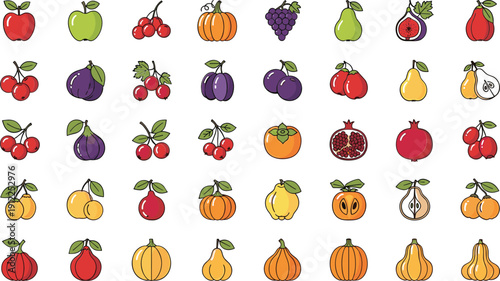 Vibrant fruit and vegetable illustrations collection