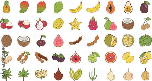 Vibrant illustrations of exotic fruits for commercial use