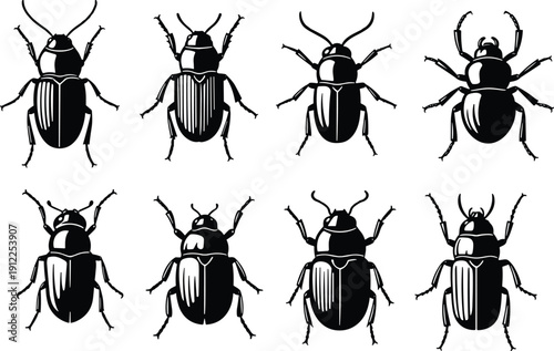Eight beetle illustrations with distinct shapes and patterns vector design, insect anatomy symbol for biology, science, pest control, educational icon