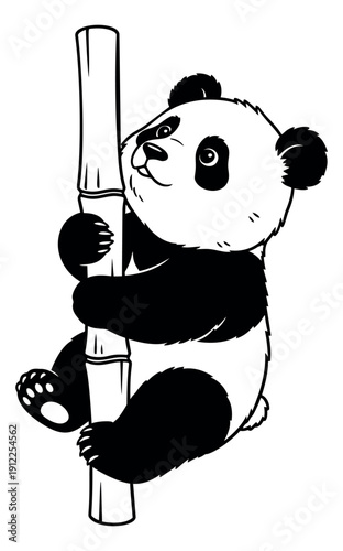 Hand drawn illustration of a panda depicting it climbing a bamboo plant for nature designs