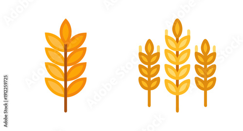 Wheat stalks vector illustration for agriculture farming and harvest season design element concept