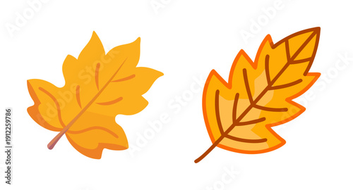 Autumn leaves vector illustration for fall season designs and thanksgiving day graphics and art