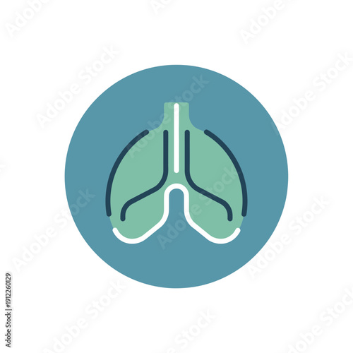 Illustration of human lungs with stylized airway and alveoli structure.